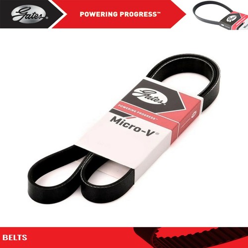 Gates micro belt for - gates, micro-v