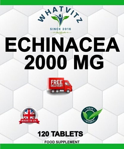 Echinacea 2000 120 tablets - echinacea,