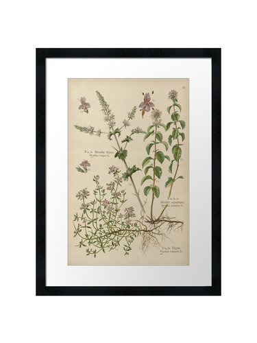 Botanical framed wall art - botanical, 42