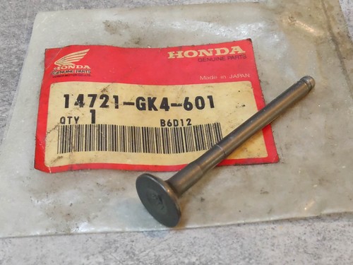 Exhaust valve c50 xr50r - exhaust,