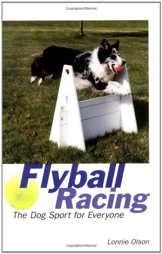 Flyball racing the dog sport - racing:,