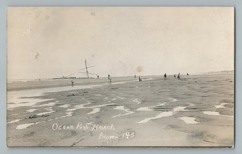 Ocean park beach - ocean, diggers