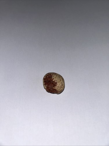 Red jasper rock - jasper,