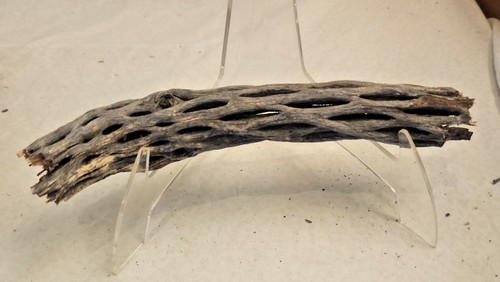 One wish willow prop - wish, real