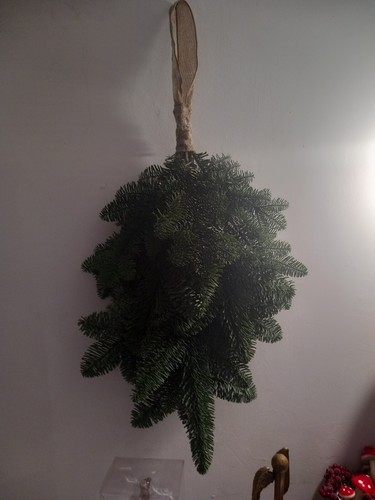 Christmas fresh blue spruce