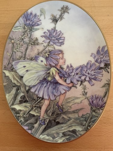 The chicory flower - flower, oval