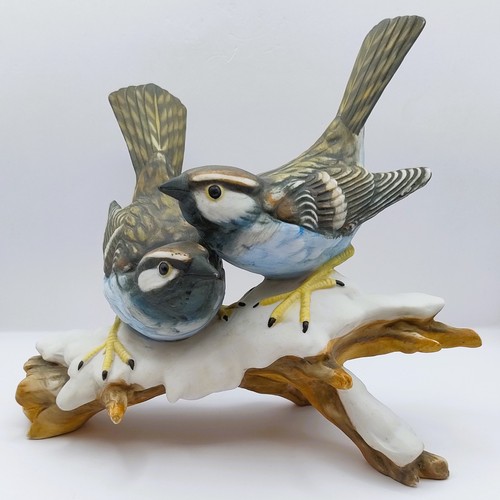 Blue birds snowy - blue,