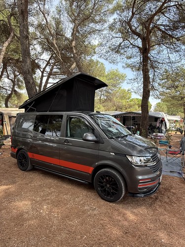 2020 1 transporter - 2020,