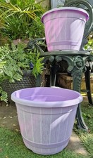 Pair of 32cm pastel - 2,