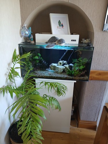 Aqua one fish tank - aqua,