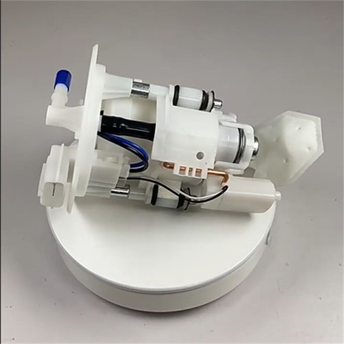 Fuel pump assembly for - fuel,