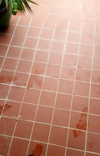 Viglacera Terracotta Tiles –