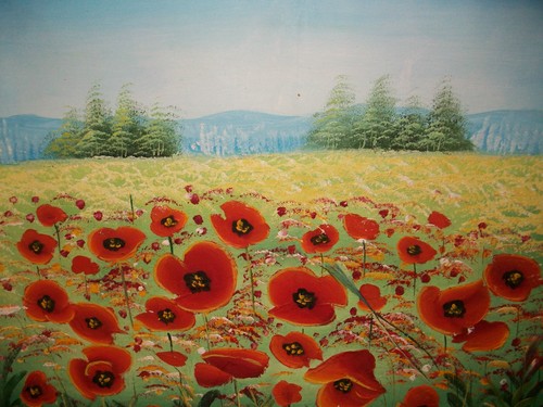 Orange order somme poppies oil - orange,