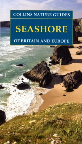 Seashore britain and - seashore,