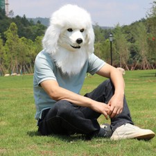 White Poodle Joker Realistic
