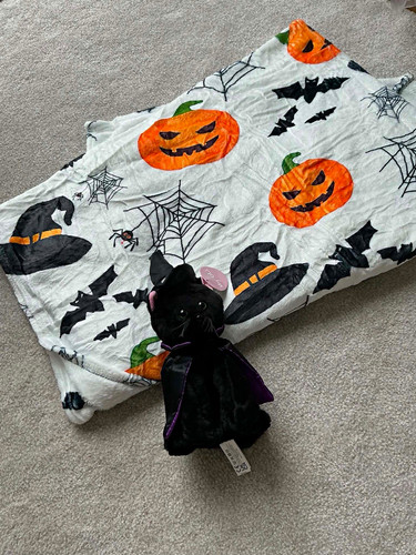 Halloween pumpkin bat - halloween,