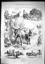 Old Sporting Dramatic News 1880 Donkey Life Sport Carriage Hampstead Victorian