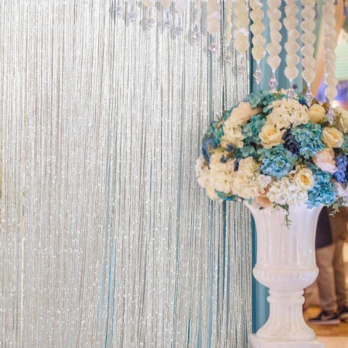 String curtain panels door fly - string,