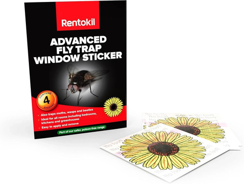 Fly catcher window flower - 4,