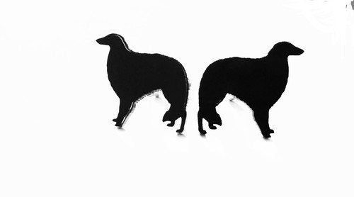 Borzoi dog russian wolfhound - borzoi,