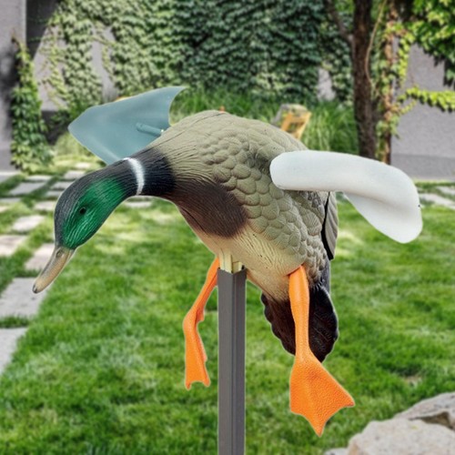Wind flying duck - flying, ducks