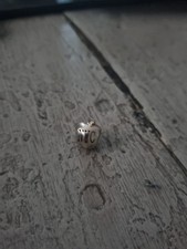 Pandora Bracelet Charm NYC Big Apple New York