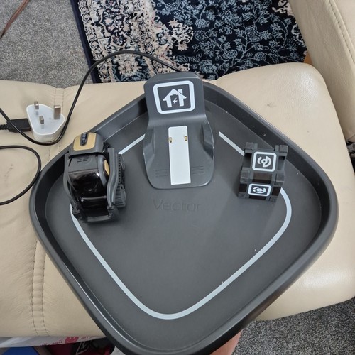 Vector robot anki voice - by,