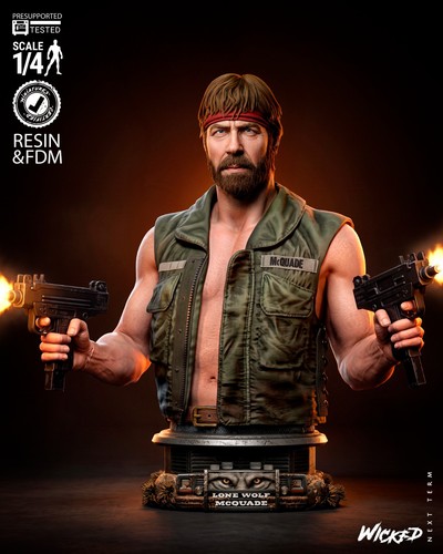 Mcquade wicked 3d printed - mcquade,
