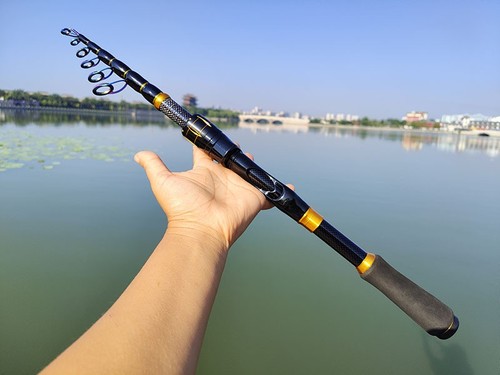 Telescopic fishing rod carp - telescopic,