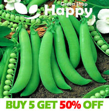 VEGETABLE SEEDS PEA DWARF -