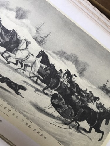 Horse carriage single print - carriage,