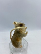 Steiff Pieps Mouse • 9cm