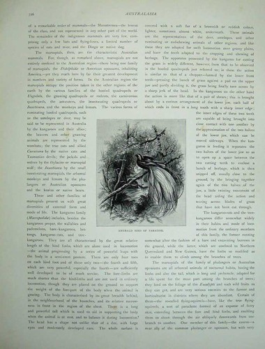 Old antique print 1886 - antique,