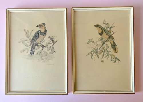 Dick findley illustrations - findley,