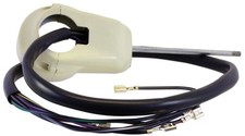 Indicator Switch, Ivory