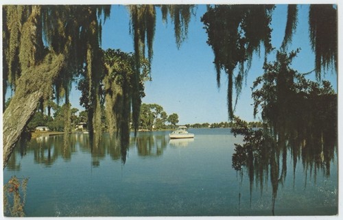 Tarpon springs cabin - tarpon,