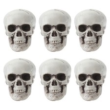 6 Pcs Plastic Skull Heads