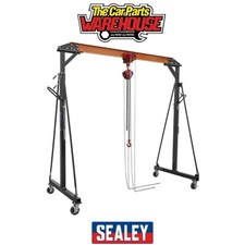 Sealey SG1000KITG Portable