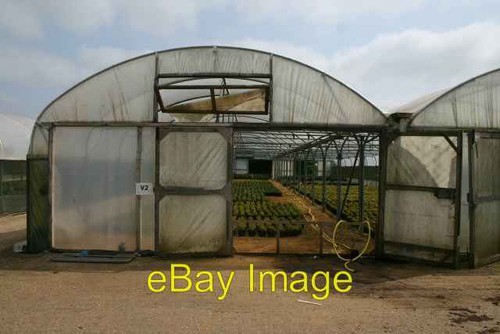 Photo 6x4 polytunnels - 6x4,