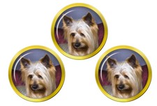 Australian Silky Terrier Golf