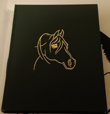 The arabian horse - arabian,
