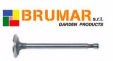 261462 Engine Intake Valve