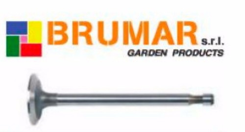 390419 engine drain valve - 390419,