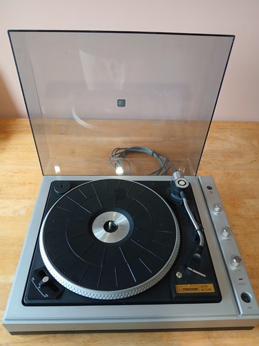 Thorn ferguson record - thorn,