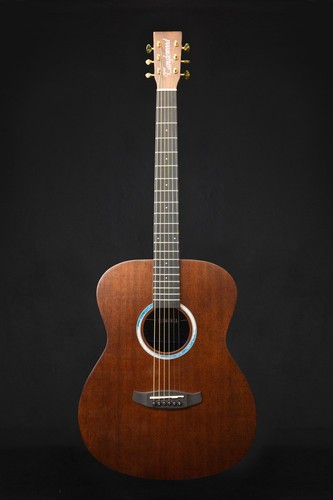 Tanglewood elemental 3bl - tanglewood,