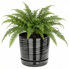 Plant Pots Flower Planter 18