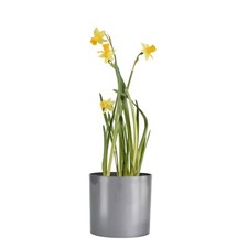 Cactus Plant Pot Round Plastic