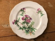 Dorchester thistle design 6.5" vintage tea plate