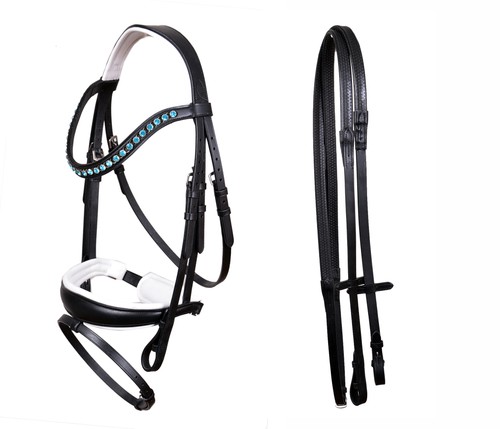 Horse english all purpose - english, all-purpose