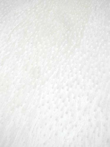 Bird eye veneer - eye, bird's